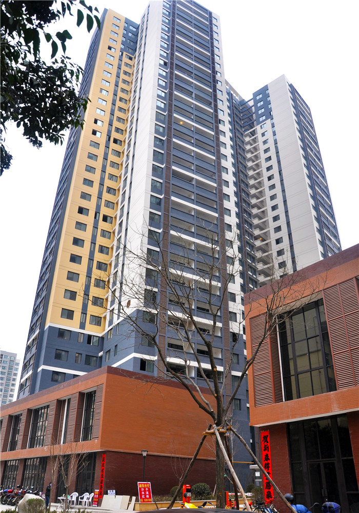 19、新東嶺城市綜合體（工農(nóng)村）住宅小區(qū).JPG